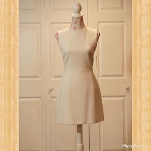 NWT White French Connection Dress